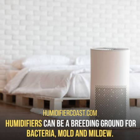 Regular cleaning - Should You Use A Humidifier Every Day?
