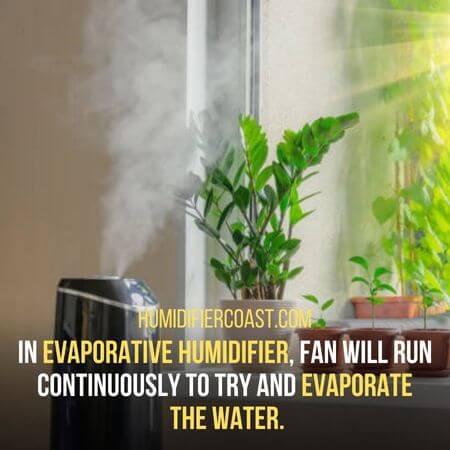 Evaporate  the water - What Happens If Humidifier Runs Out Of Water