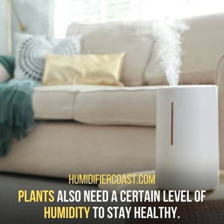 Plants need humidity 