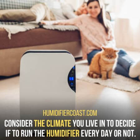 The climate - Should You Use A Humidifier Every Day?