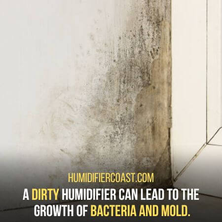 Bacteria and mold - How Do Humidifiers Work