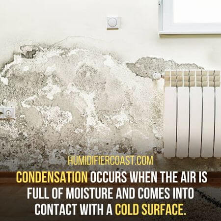 Condensation  - Can A Humidifier Cause Mold In A Room