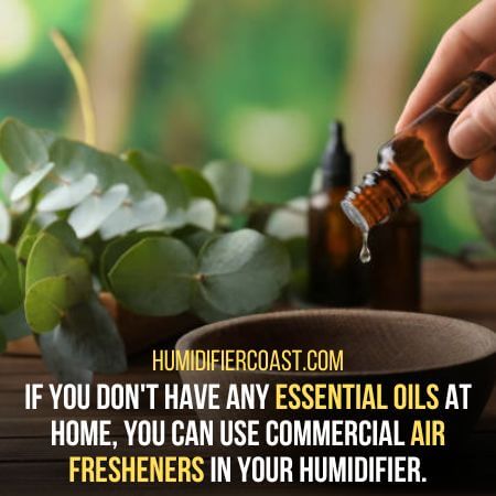 Essential oils - What Can I Put In My Humidifier To Disinfect The Air