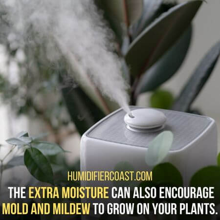Extra moisture - Can Sleeping With A Humidifier Make You Sick