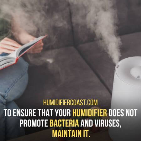 Maintain humidifier