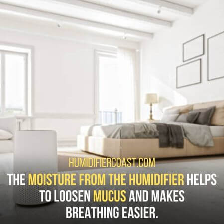 Moisture from the humidifier - Will Humidifier Help