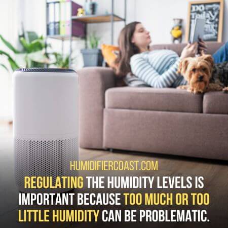 Too much or too little humidity - How Do Humidifiers Work