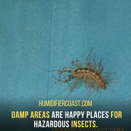 Damp Areas - Why You Need A Dehumidifier In The Basement