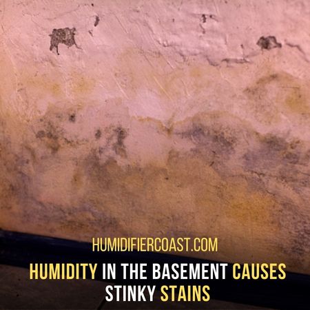 Humidity In The Basement - Why You Need A Dehumidifier In The Basement