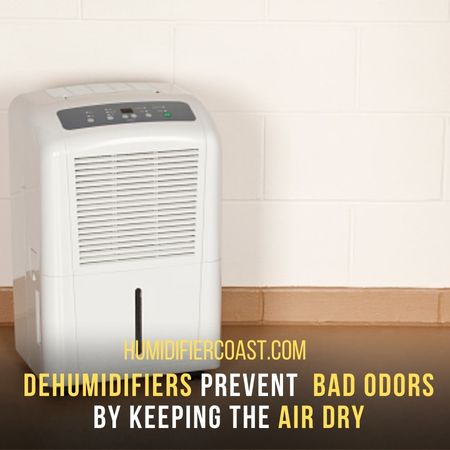 Dehumidifiers prevent  Bad odors - Why You Need A Dehumidifier In The Basement
