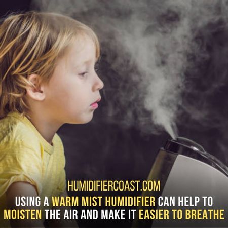 Best Humidifiers For Congestion