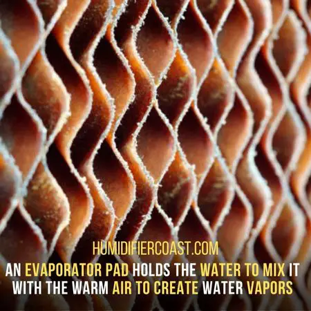 Evaporator Pad - What Is A Bypass Humidifier