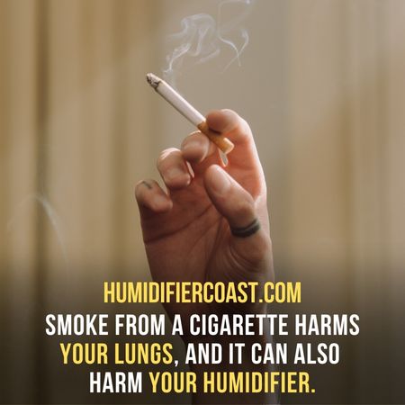 The smoke from a cigarette not only harms your lungs but can also be harmful to your appliances, such as humidifiers.