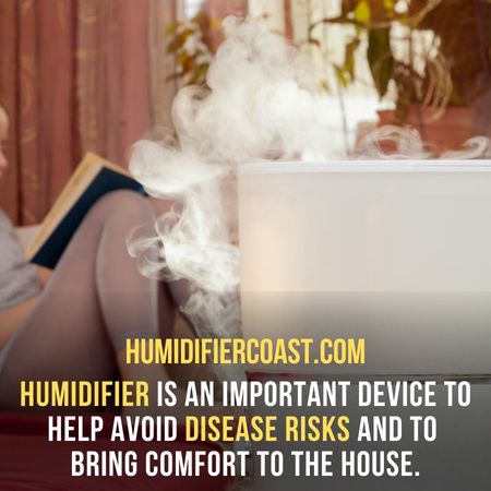 Humidifier is an important device to help avoid disease risks and to bring comfort to your house - Bypass Humidifier Vs Fan Humidifier.