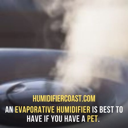 An evaporative humidifier is best to have if you have a pet - Are Ultrasonic Humidifiers Safe For Pets?