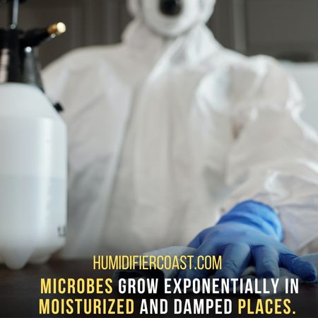 Microbes - Will A humidifier Ruin Carpet?