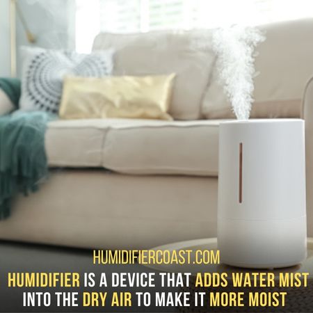 Purpose - Differences Between A Humidifier And An Oil Diffuser 