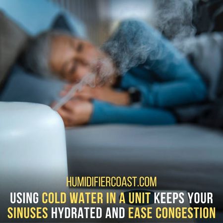 It Is Easier On Your Sinuses - ultrasonic humidifier