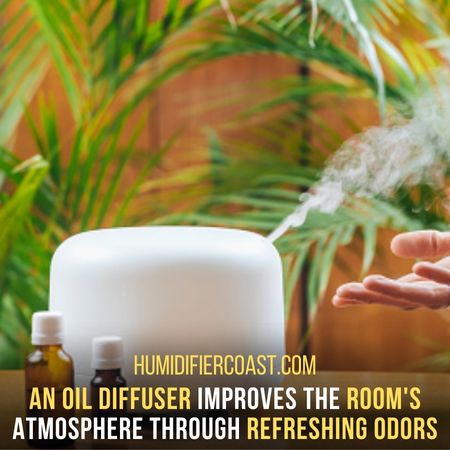 Benefits - Differences Between A Humidifier And An Oil Diffuser 