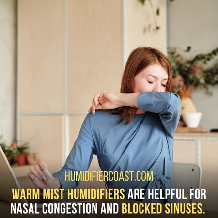 Sinuses - Why do You Need A Warm Mist Humidifier ?