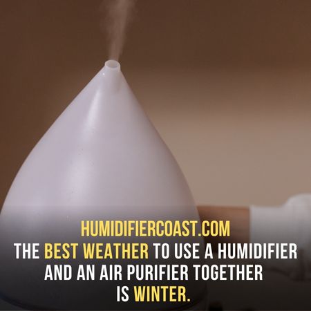 The best weather to use a humidifier and an air purifier together is winter - Can a humidifier affect air purifier?