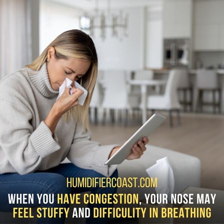 What Is Congestion - Does A Humidifier Help With Congestion