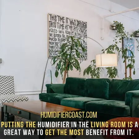 Living room - Will a humidifier Ruin the Carpet