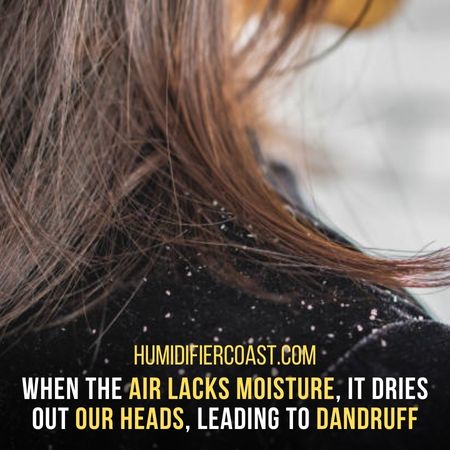 Can A Humidifier Help Dandruff? 