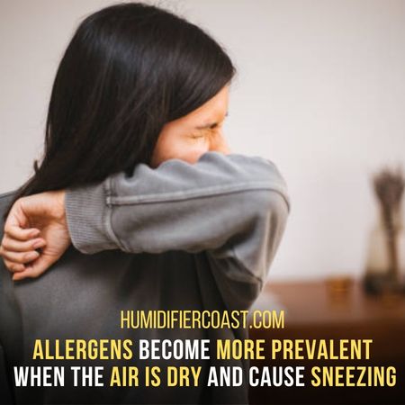 Reduce Sneezing - Can A Humidifier Help With Allergies?