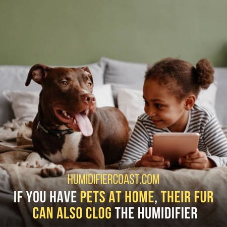 Why To Use - Can You Run A Humidifier Without A Filter?
