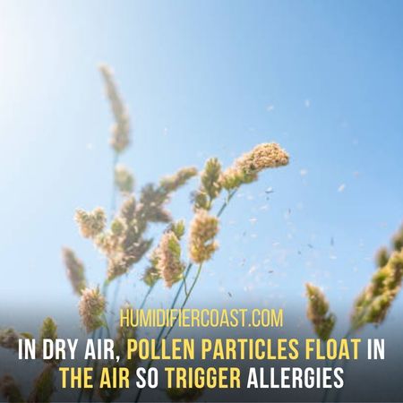 Control Pollen Allergy