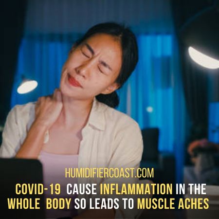 Reduce Muscles Pain - Can A Humidifier Help Covid-19 Symptoms