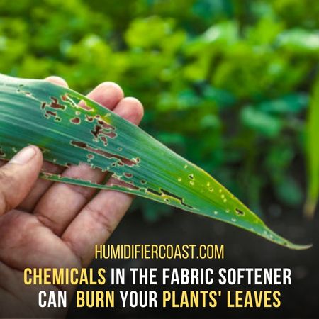 Damage The House Plants - Can I Put Fabric Softener In My Humidifier?