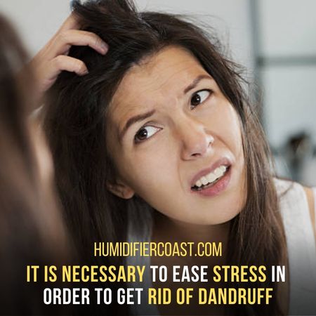 Ease Stress - Can A Humidifier Help Dandruff? 8 Best Ways