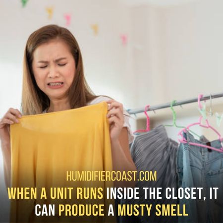 Putting A Dehumidifier In Closets Causes A Musty Smell