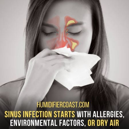 A Humidifier Helps With A Sinus Infection