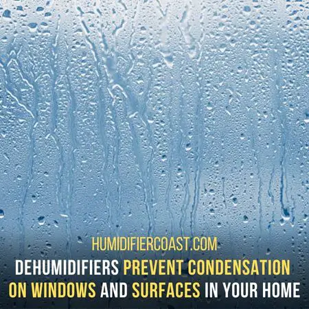 Are Dehumidifiers Safe? Yes!