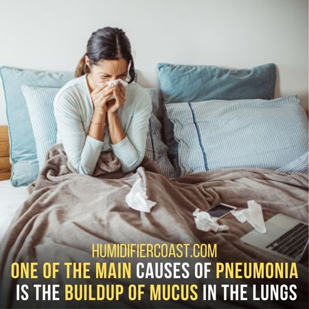 Loosening Mucus In Lungs - Can A Humidifier Help With Pneumonia