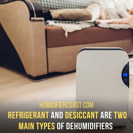 How Much Water Should A Dehumidifier Collect In A Day? Factors