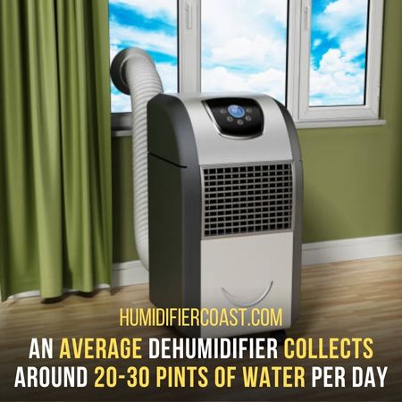 How Much Water Should A Dehumidifier Collect In A Day? 