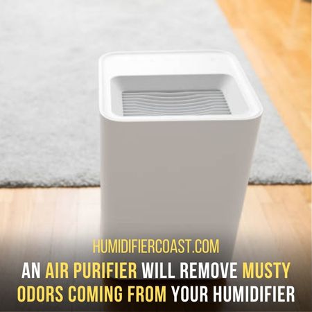 How To Prevent Mold In Humidifiers? 