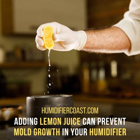 Add Natural Disinfectants In The Humidifier