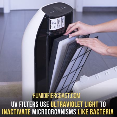 UV Filter - What Is The Difference Between Air Purifiers And Humidifiers 