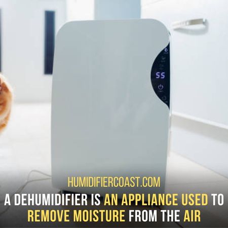 What Is A Dehumidifier 