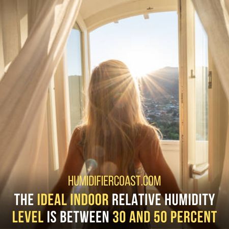  Why You Need A Dehumidifier In Florida