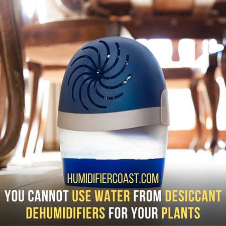 Can You Use Dehumidifier Water For Plants? 4 Major Deciding Factors