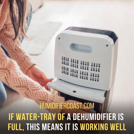 How To Tell If A Dehumidifier Is Working? 9 Ways To Determine 