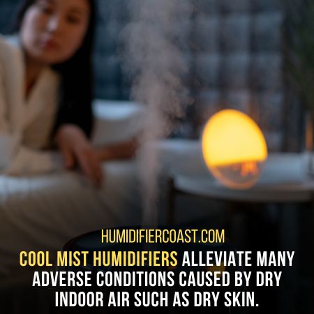 Cool Mist Humidifier Advantages and Disadvantages