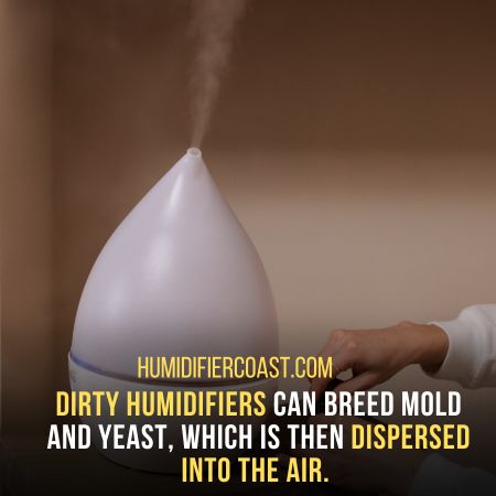 Maintenance of Cool Mist Humidifiers