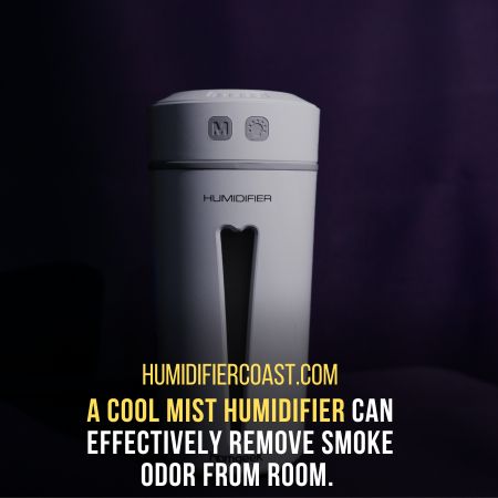 best humidifier for smokers